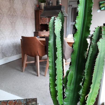 Ferienwohnung Vakantiehuis Aan Zee Katwijk aan Zee Exterior foto