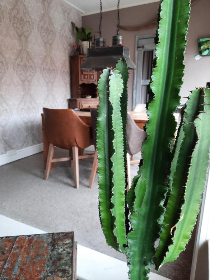 Ferienwohnung Vakantiehuis Aan Zee Katwijk aan Zee Exterior foto