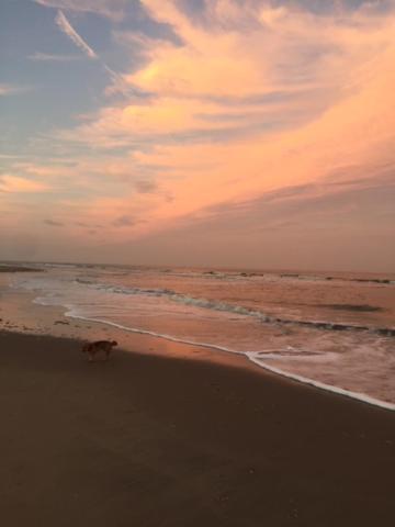 Ferienwohnung Vakantiehuis Aan Zee Katwijk aan Zee Exterior foto