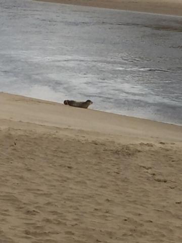 Ferienwohnung Vakantiehuis Aan Zee Katwijk aan Zee Exterior foto